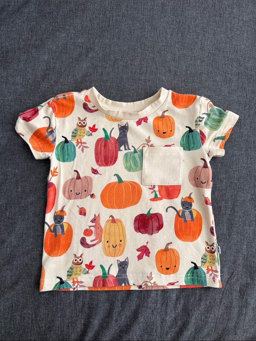 Little Sleepies relaxed pocket tee - Pumpkin Pals